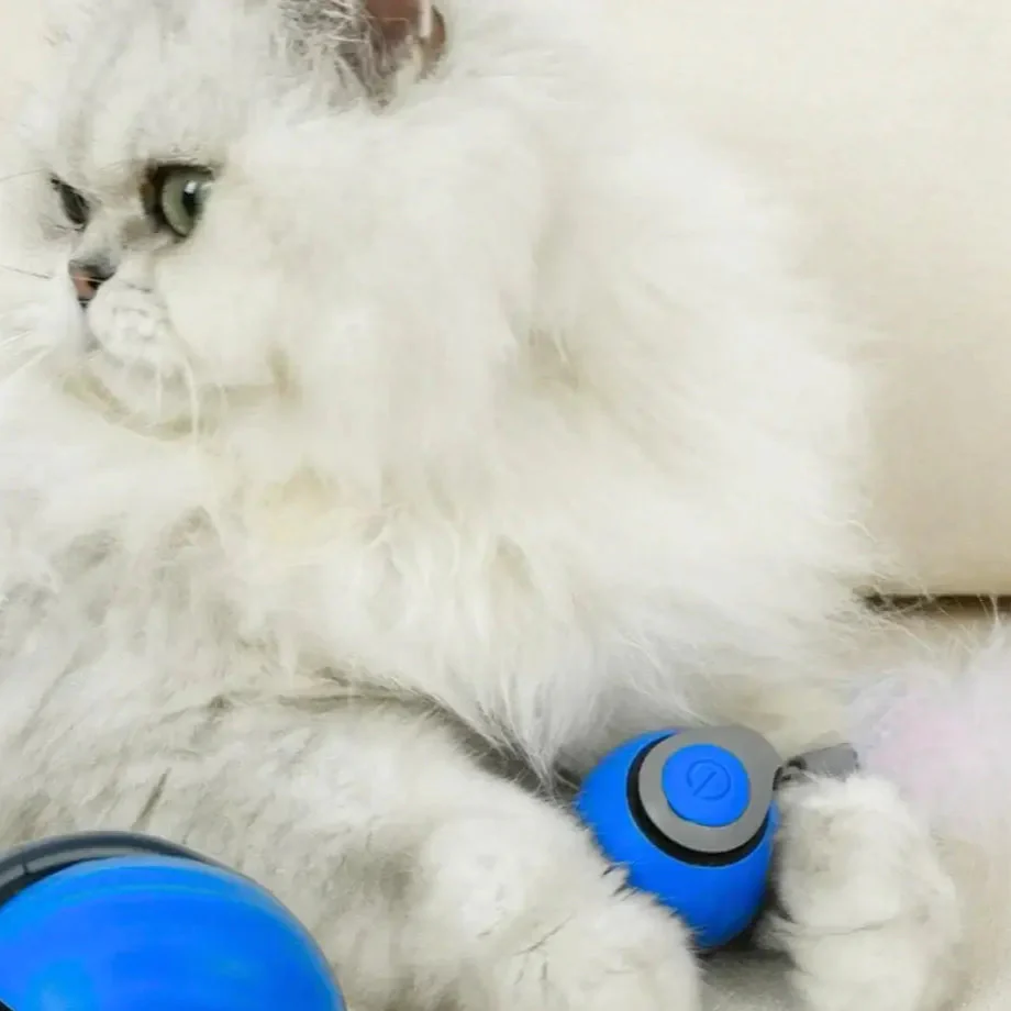 Speedy Tail 2.0 product image