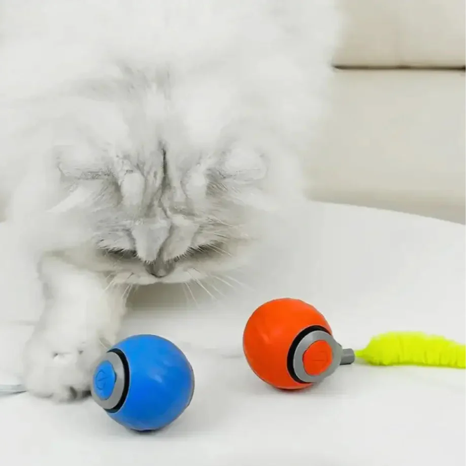 Speedy Tail 2.0 product