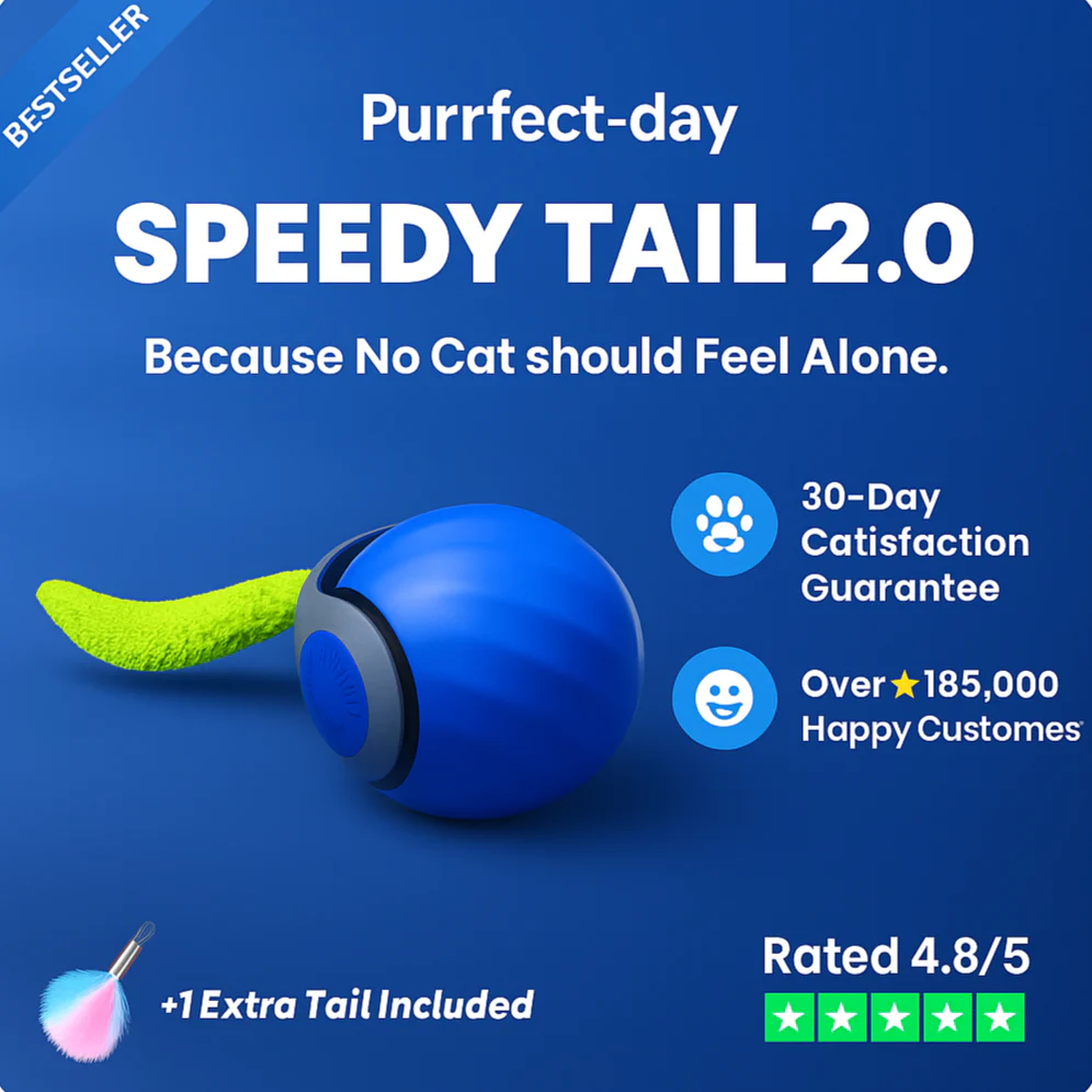 Speedy Tail 2.0